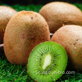 2021 Ny grödor frisk grön kiwi frukt